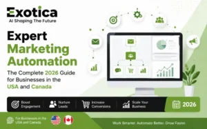 Expert Marketing Automation