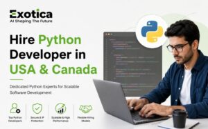 Hire python developer